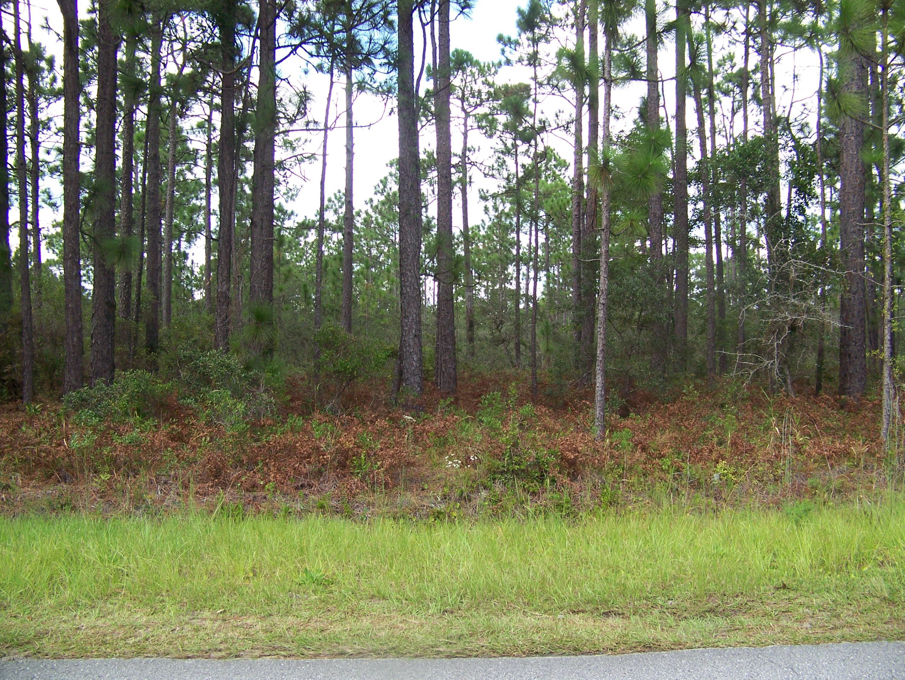 457 Wood Haven Road Boiling Spring Lakes, NC 28461 - Photo 1 of 1 front
