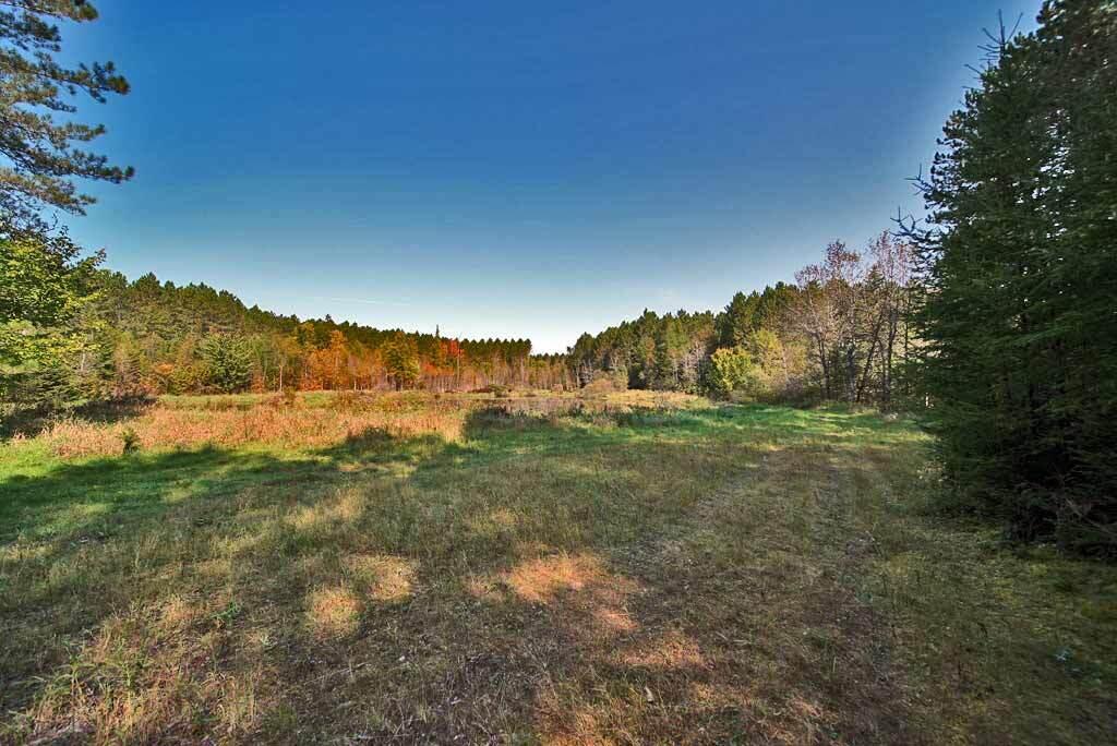 Lot 5.1 Off Ludlow Road Houlton, ME 04730 - Photo 37 of 43 tree-growth-plantation-land
