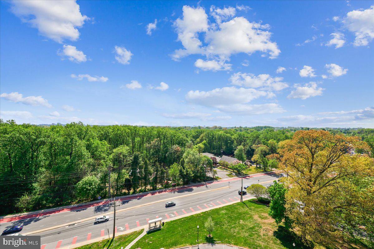 1111 University Boulevard West, Unit 1106A Silver Spring, MD 20902 - Photo 22 of 35 a view of a city with flower plants and large trees