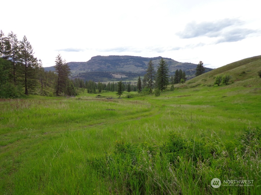 -tbd Gulch Road Malo, WA 99150 - Photo 1 of 4 Gallery Image 1