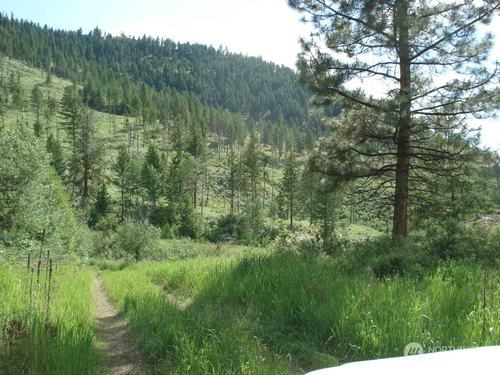 -tbd Gulch Road Malo, WA 99150 - Photo 3 of 4 Gallery Image 3
