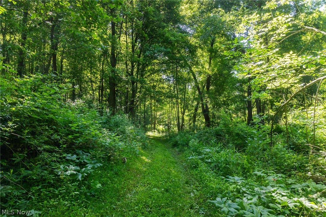 Ridge Road Minerva, OH 44657 - Photo 20 of 49