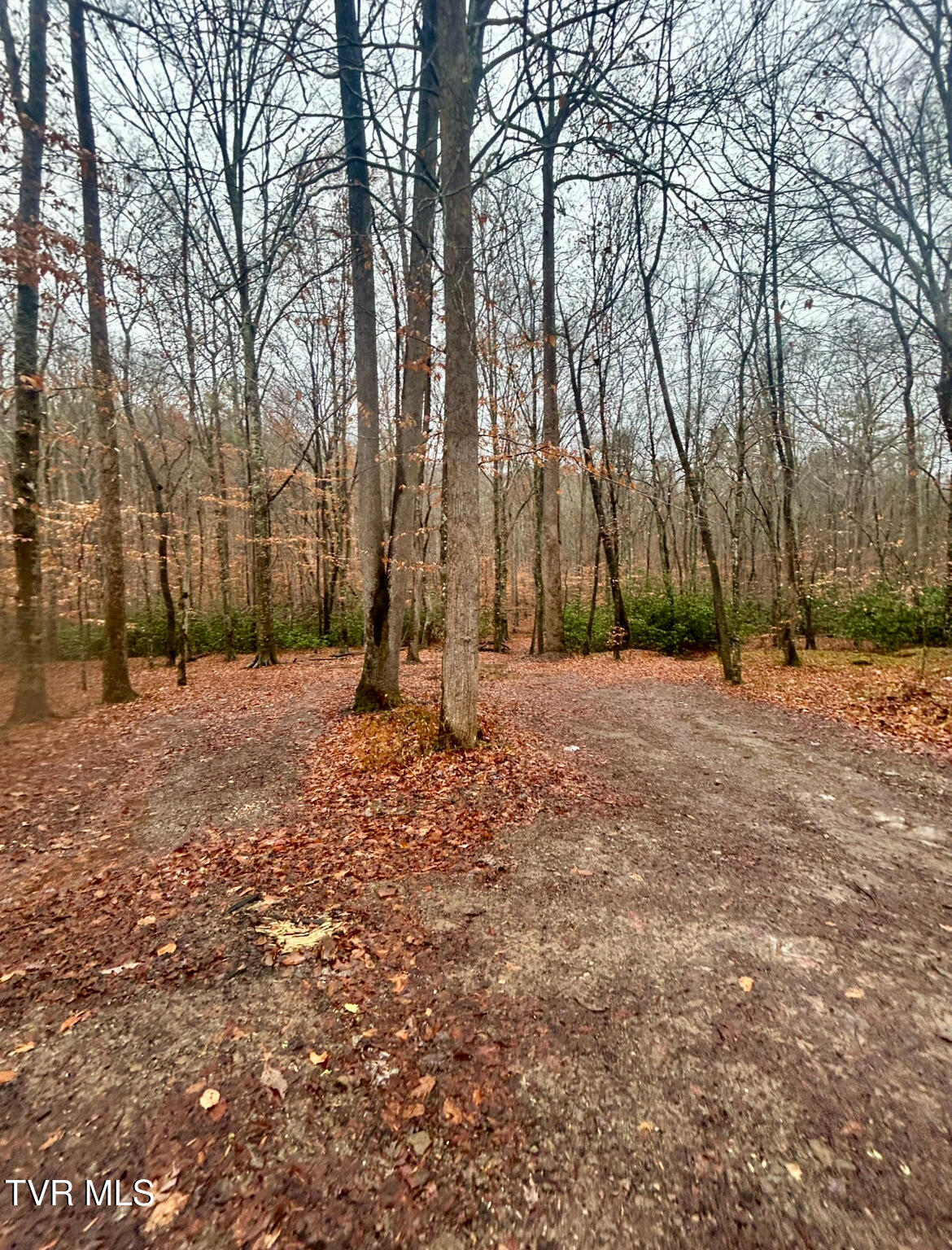 0 Briar Fork Road Bean Station, TN 37708 - Photo 2 of 24 IMG_9725