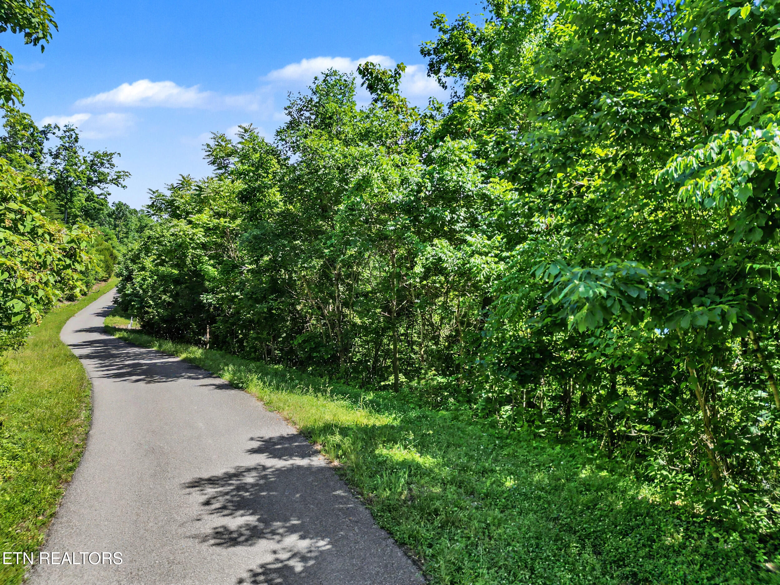 Lot 784 Russell Brothers Road Sharps Chapel, TN 37866 - Photo 8 of 21 1_dji_0180