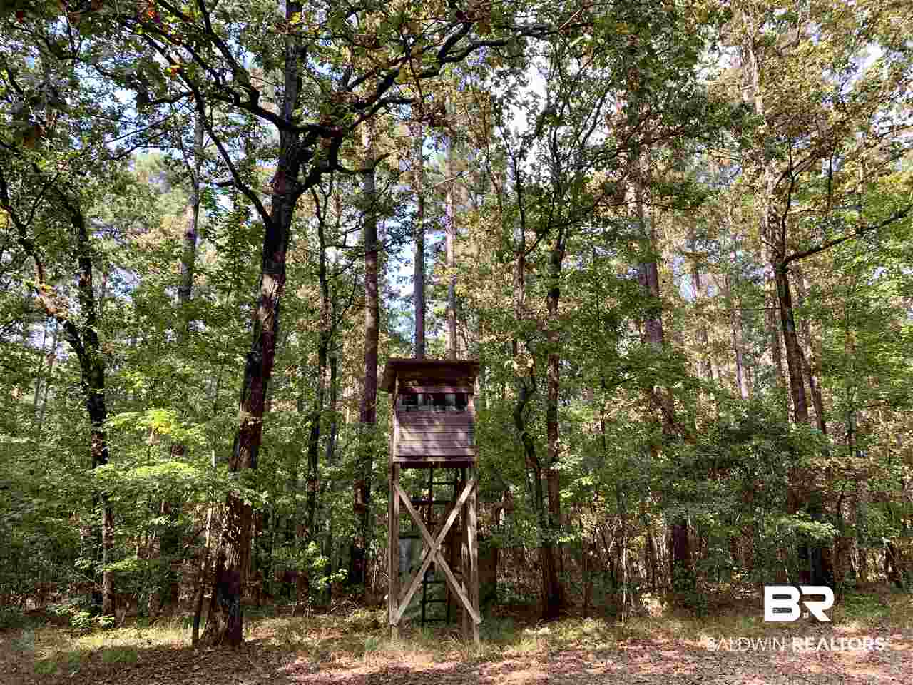 0 Holly Creek Road Stockton, AL 36579 - Photo 8 of 50