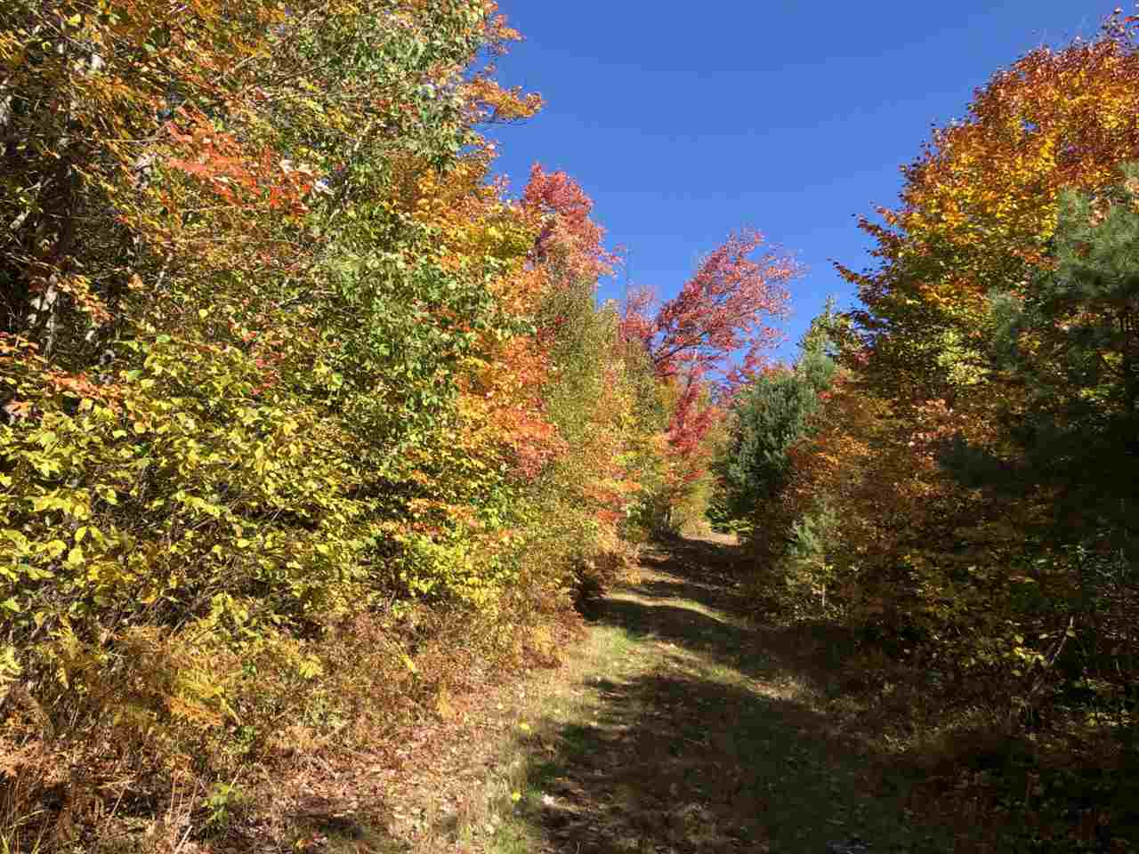 105 East Brighton Road, Unit 3 Island Pond, VT 05846 - Photo 3 of 24
