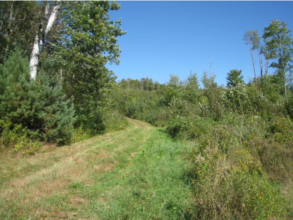 105 East Brighton Road, Unit 3 Island Pond, VT 05846 - Photo 8 of 24