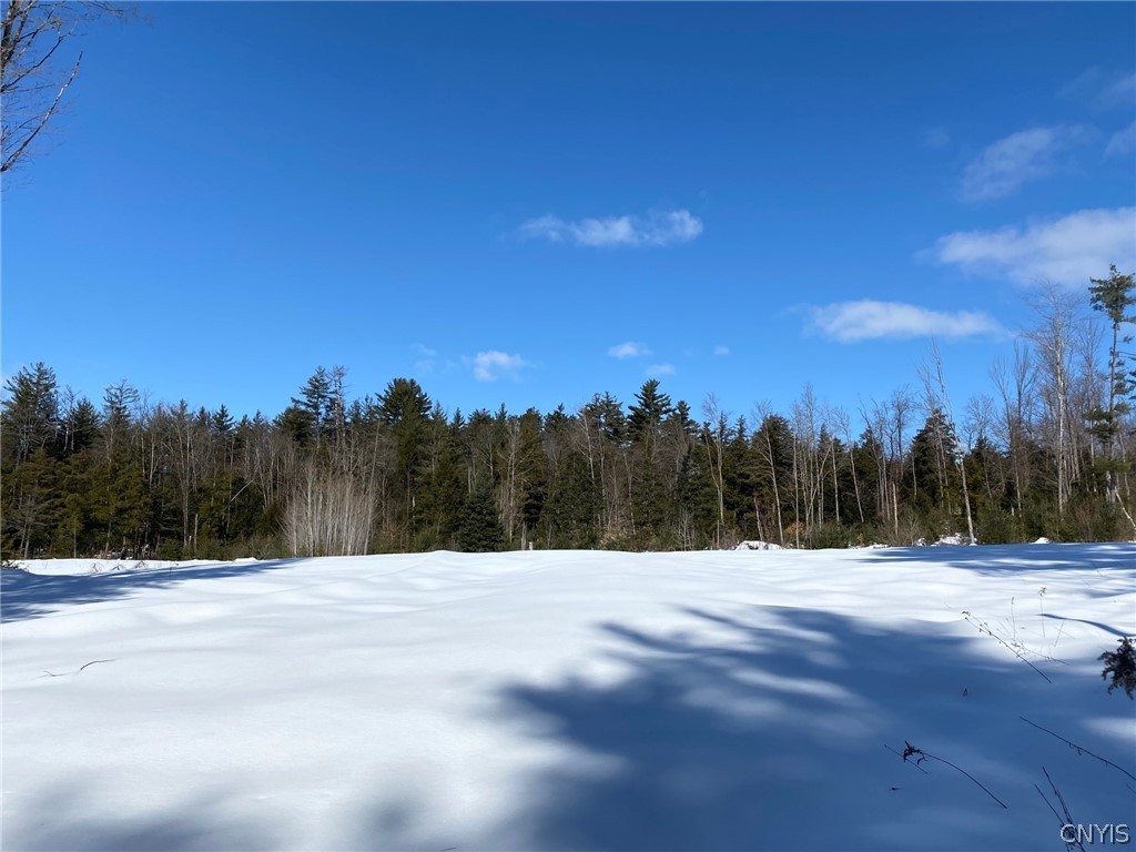6827 Number 4 Road Watson, NY 13367 - Photo 1 of 1