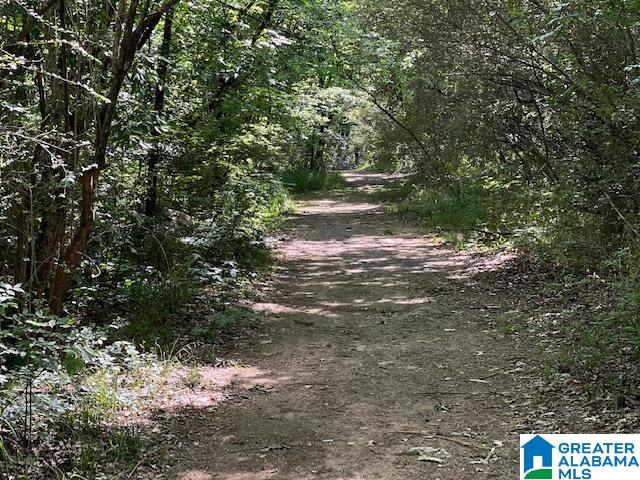 1612 Oliver Road Leeds, AL 35094 - Photo 34 of 36