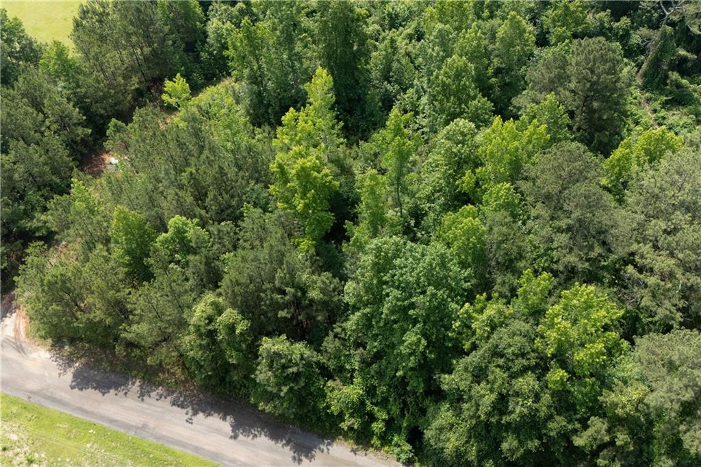 0 Ono Road Palmetto, GA 30268 - Photo 9 of 23