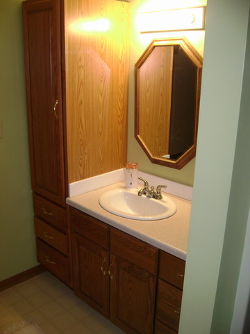 877 North 3450th Road Utica, IL 61373 - Photo 6 of 12 a bathroom with a sink and a mirror