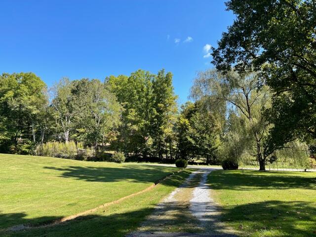 111 Yarber Road Unicoi, TN 37692 - Photo 10 of 11 IMG_0373