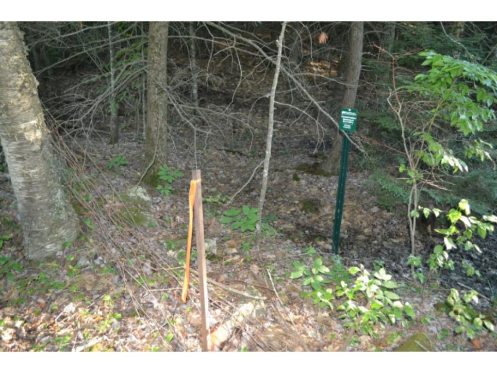 47 Ledge Farm Road Nottingham, NH 03290 - Photo 2 of 3