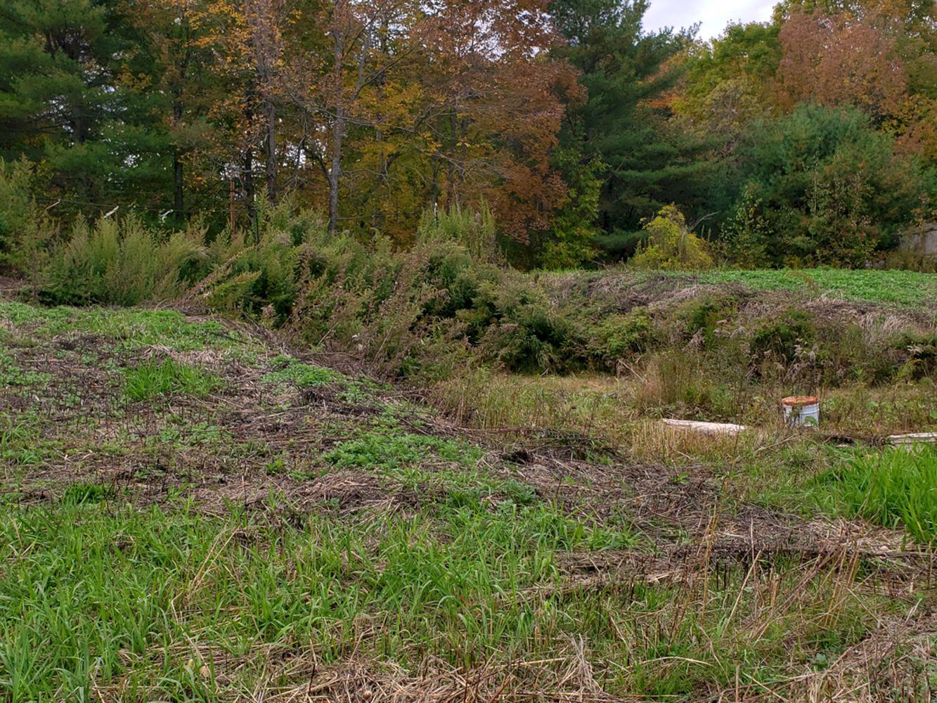 M14-l20d East Madison Road Madison, ME 04950 - Photo 11 of 17 20191003_133922