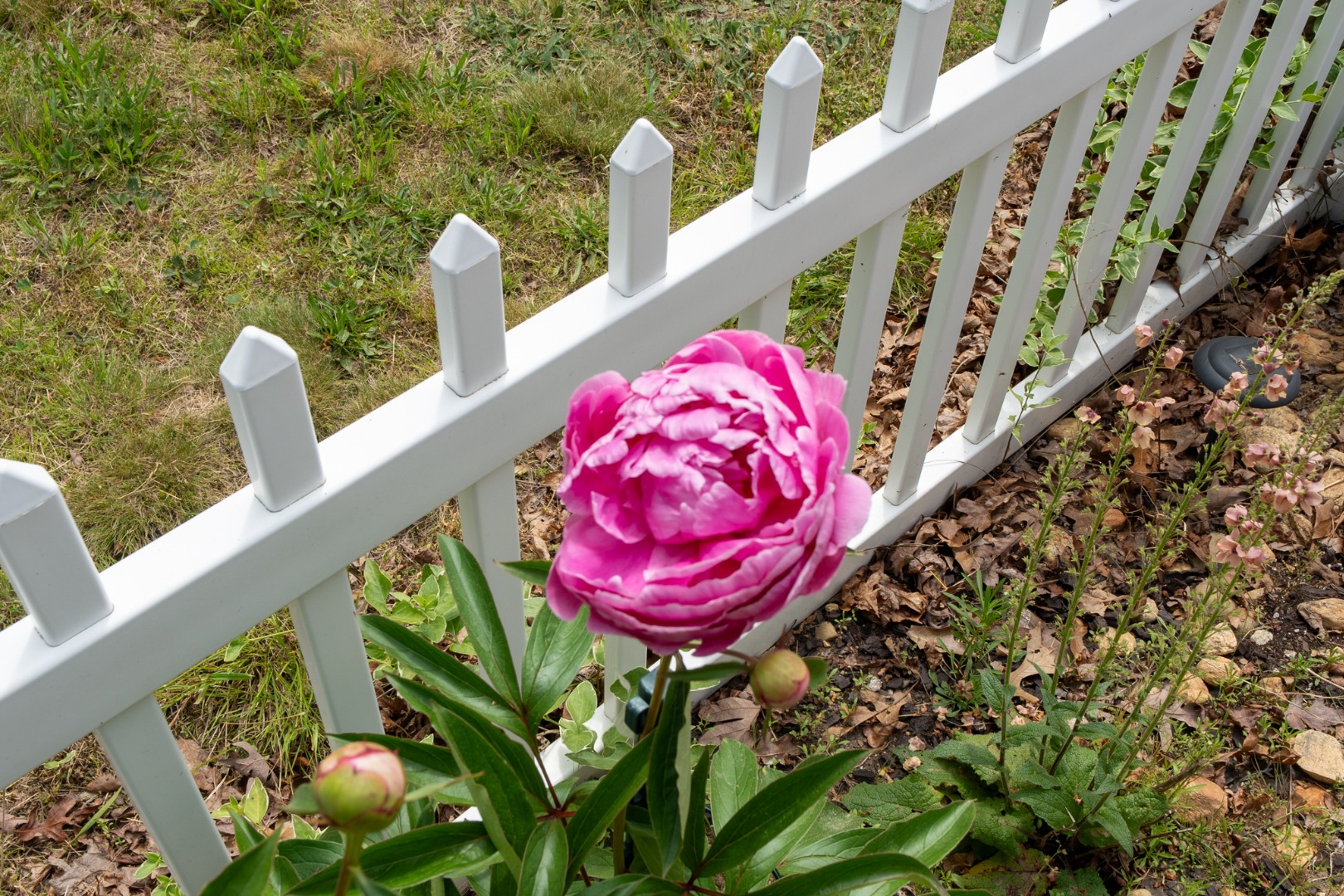 145 Vineyard Meadow Farms Road West Tisbury, MA 02568 - Photo 34 of 36