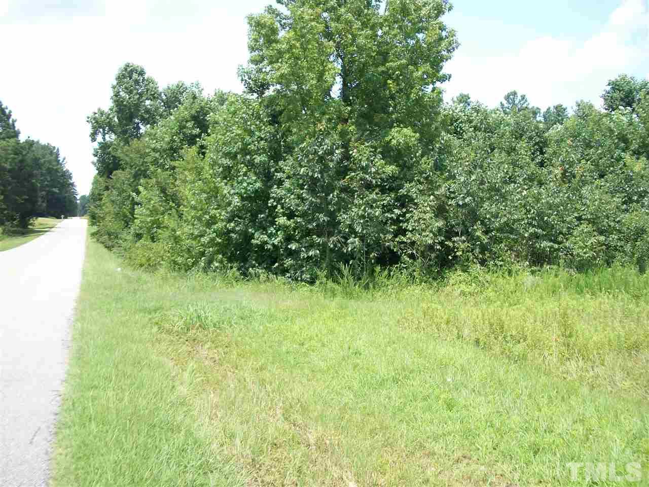 1093 Tant Road Spring Hope, NC 27882 - Photo 3 of 7 a view of yard with green space