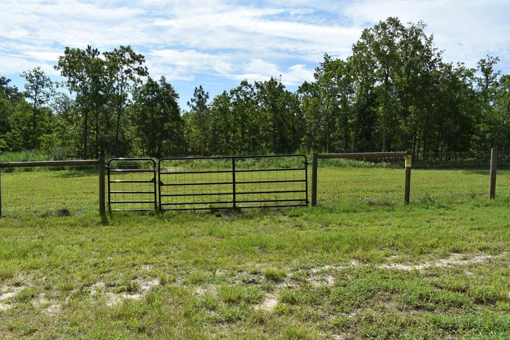 Lot 3 Centerwood Road Windsor, SC 29856 - Photo 4 of 7