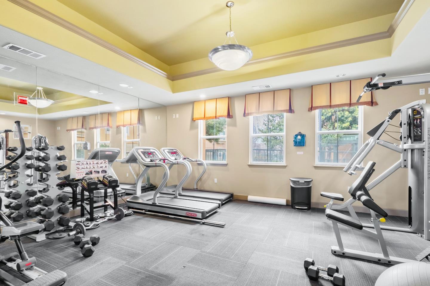 1390 Saddle Rack Street, Unit 223 San Jose, CA 95126 - Photo 28 of 36 a living room with furniture gym equipment and large windows