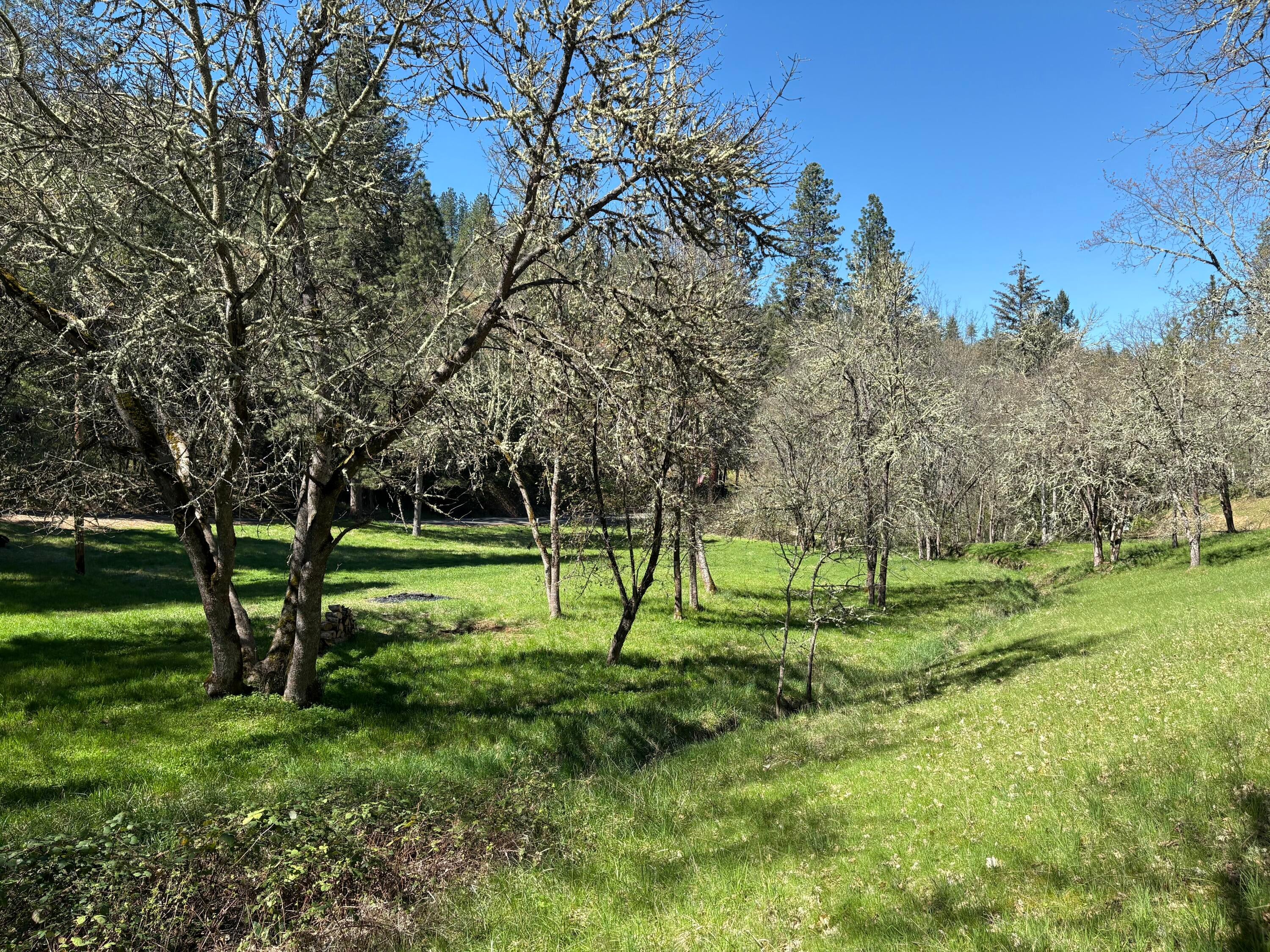 1237 Daisy Creek Road Jacksonville, OR 97530 - Photo 17 of 31 IMG_1365