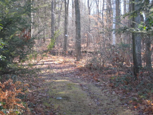 1050 Ravnikar Road Forest City, PA 18421 - Photo 14 of 28
