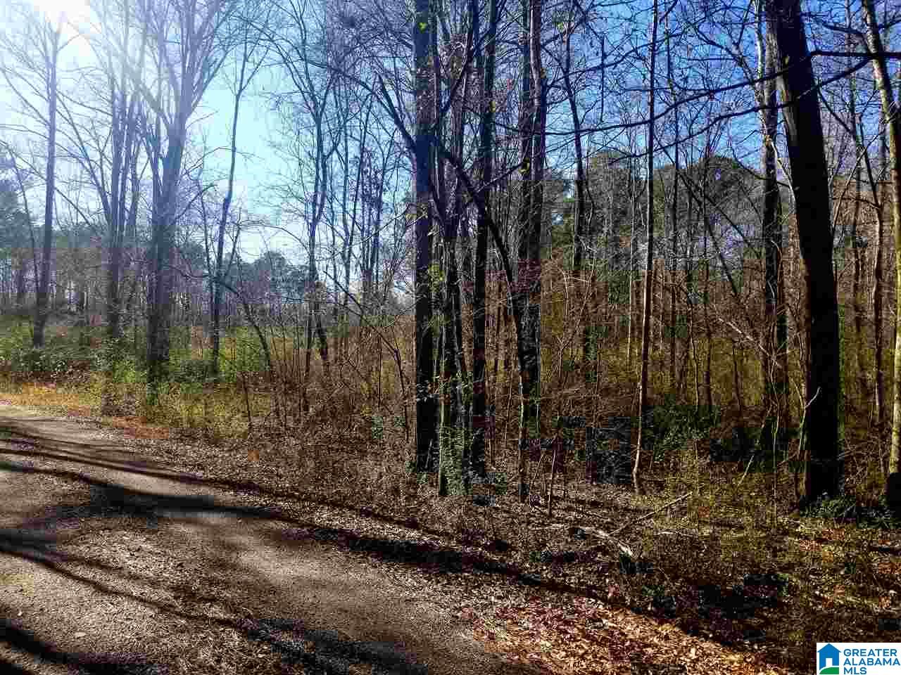 11640 Bear Creek Road Vandiver, AL 35176 - Photo 7 of 10