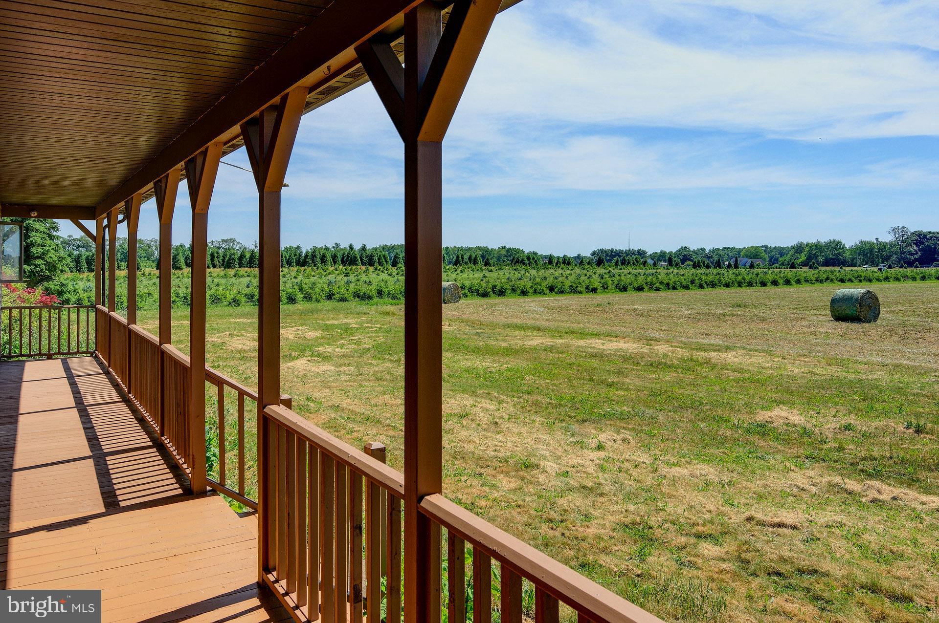 120 Richards Road Bridgeton, NJ 08302 - Photo 5 of 48 Looking at the Farmland
