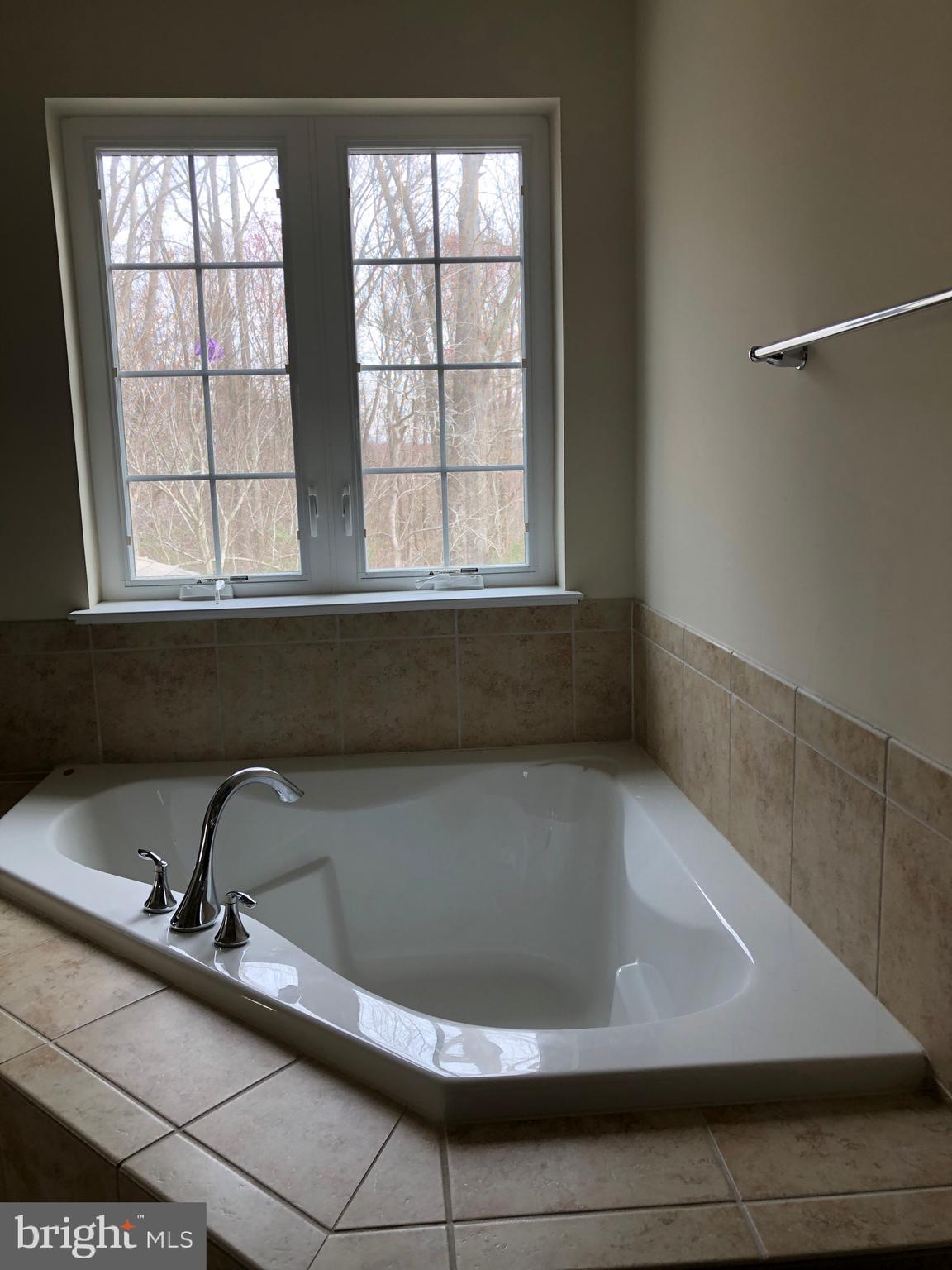 907 Horse Collar Road Accokeek, MD 20607 - Photo 19 of 98 Soaking Tub in en suite