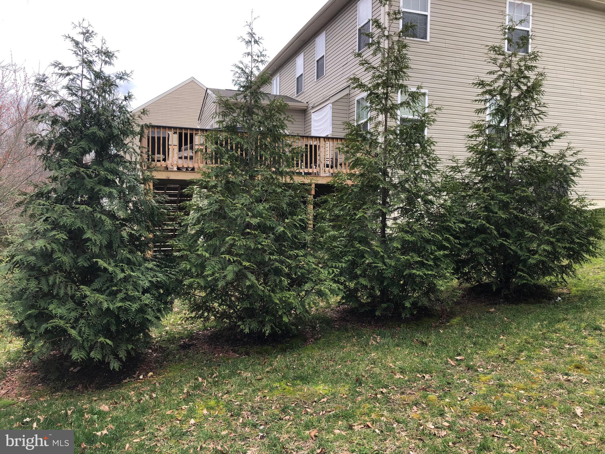 907 Horse Collar Road Accokeek, MD 20607 - Photo 89 of 98 Privacy galore!