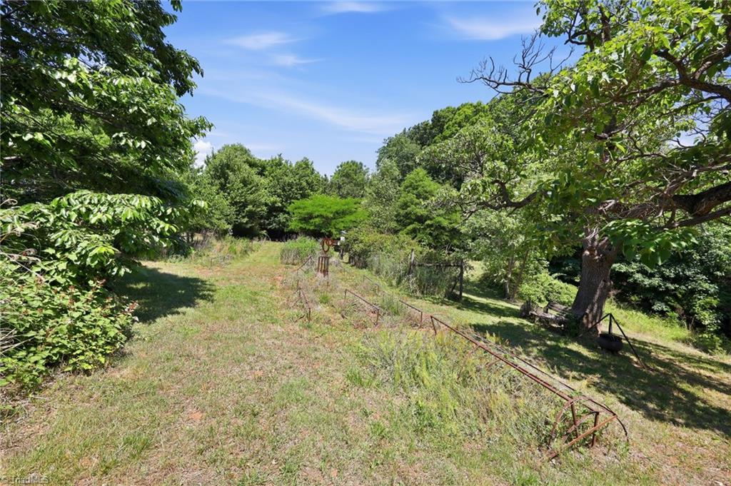 3168 Benny Lineberry Road Climax, NC 27233 - Photo 48 of 50 Garden plot