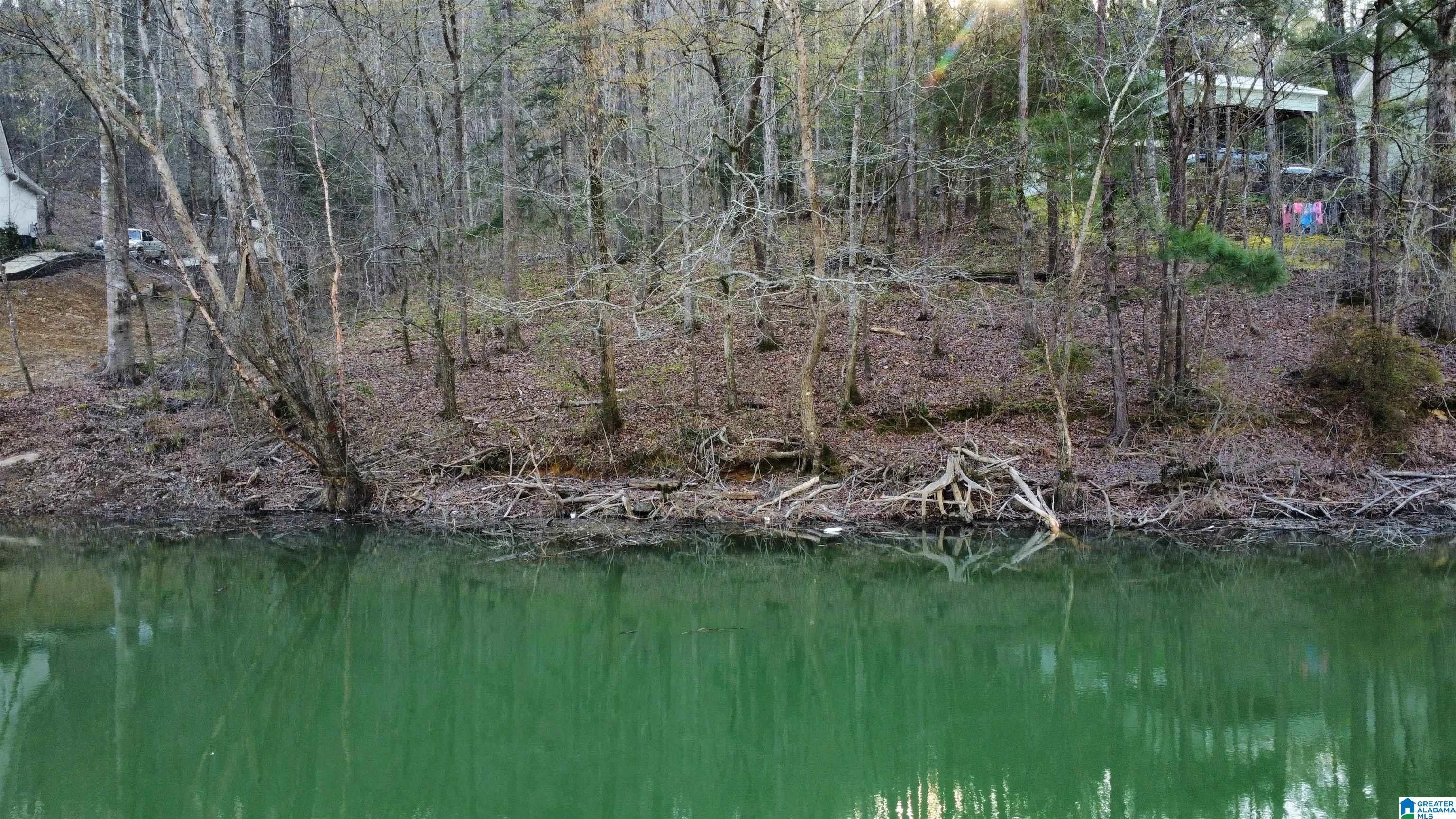 Lot 6 Legends Lane, Unit 6 Arley, AL 35541 - Photo 1 of 18