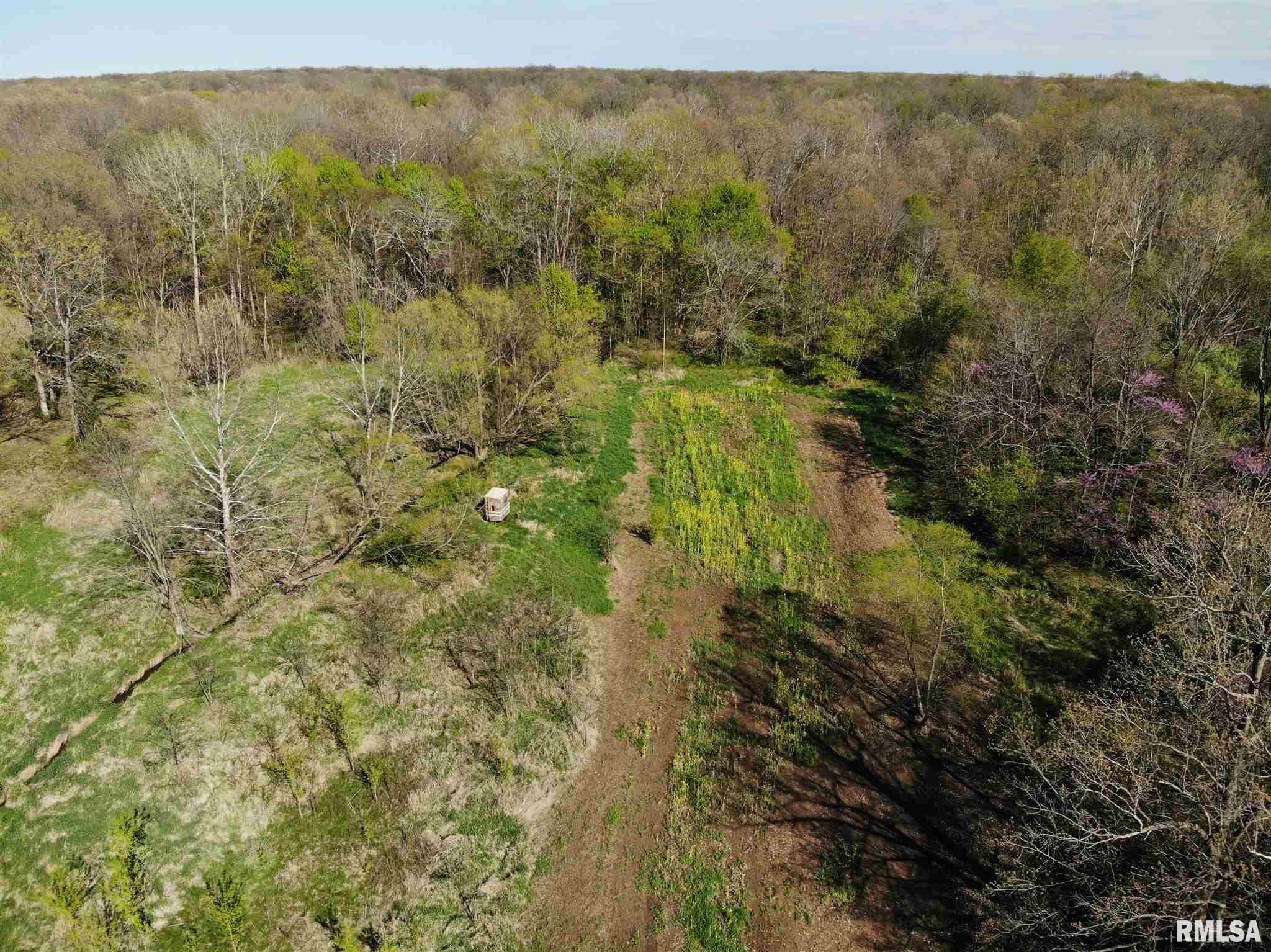 960 Race Track Road Centralia, IL 62801 - Photo 6 of 46 Gallery Image 6