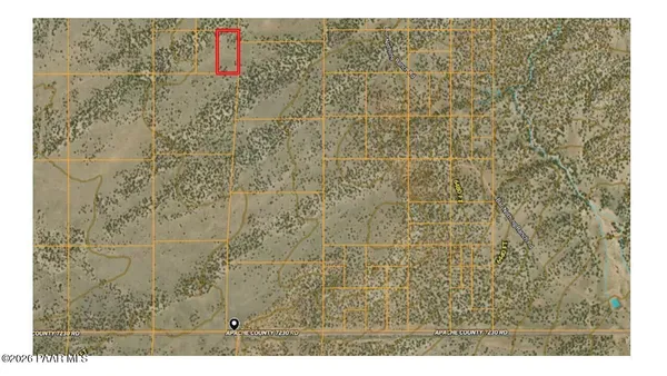 a bathroom with a shower curtain