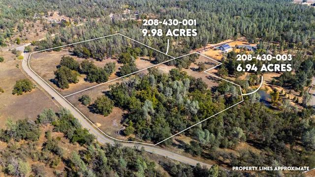 a picture of flowers