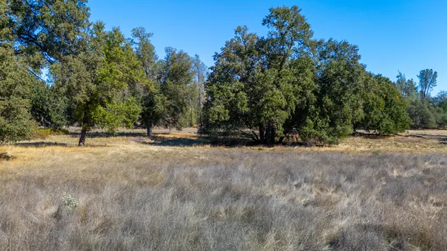 a view of outdoor space with trees