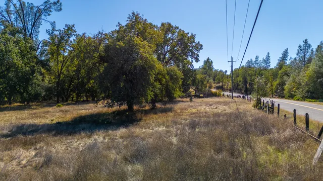 a view of a yard with trees in the background