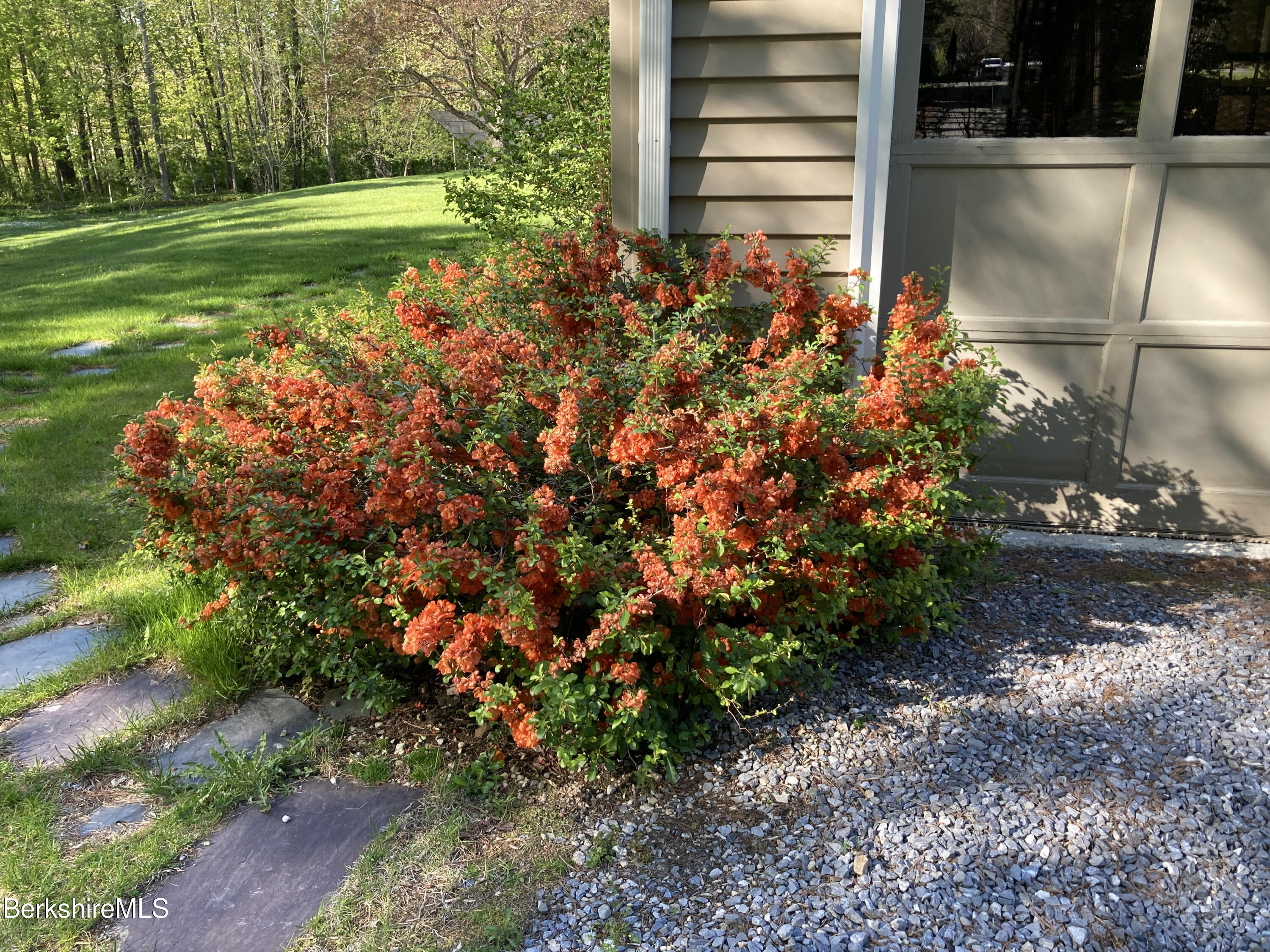 294 Blair Road Williamstown, MA 01267 - Photo 63 of 66 behr1