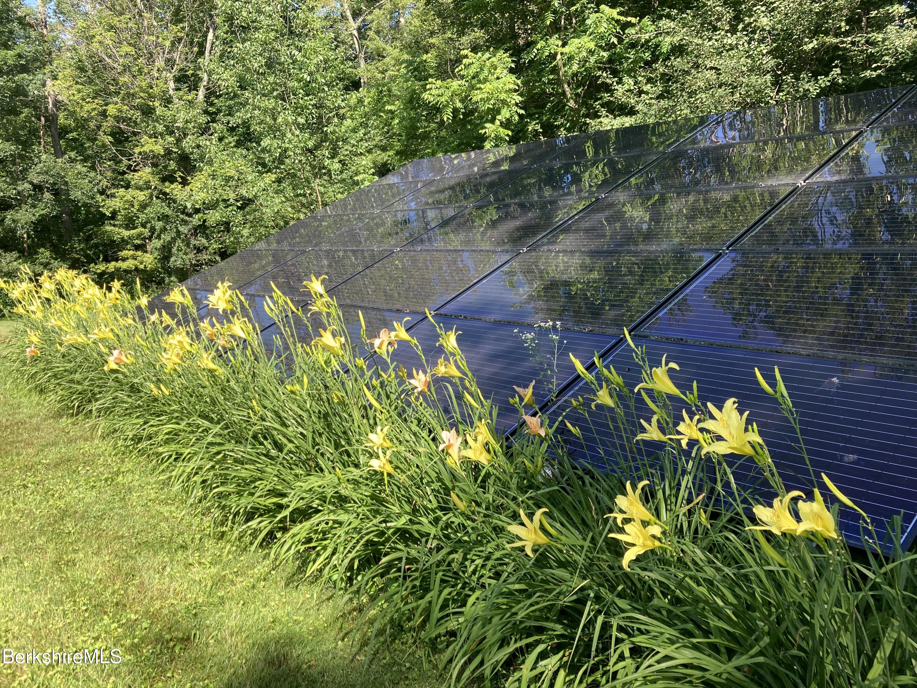 294 Blair Road Williamstown, MA 01267 - Photo 65 of 66 IMG_2318