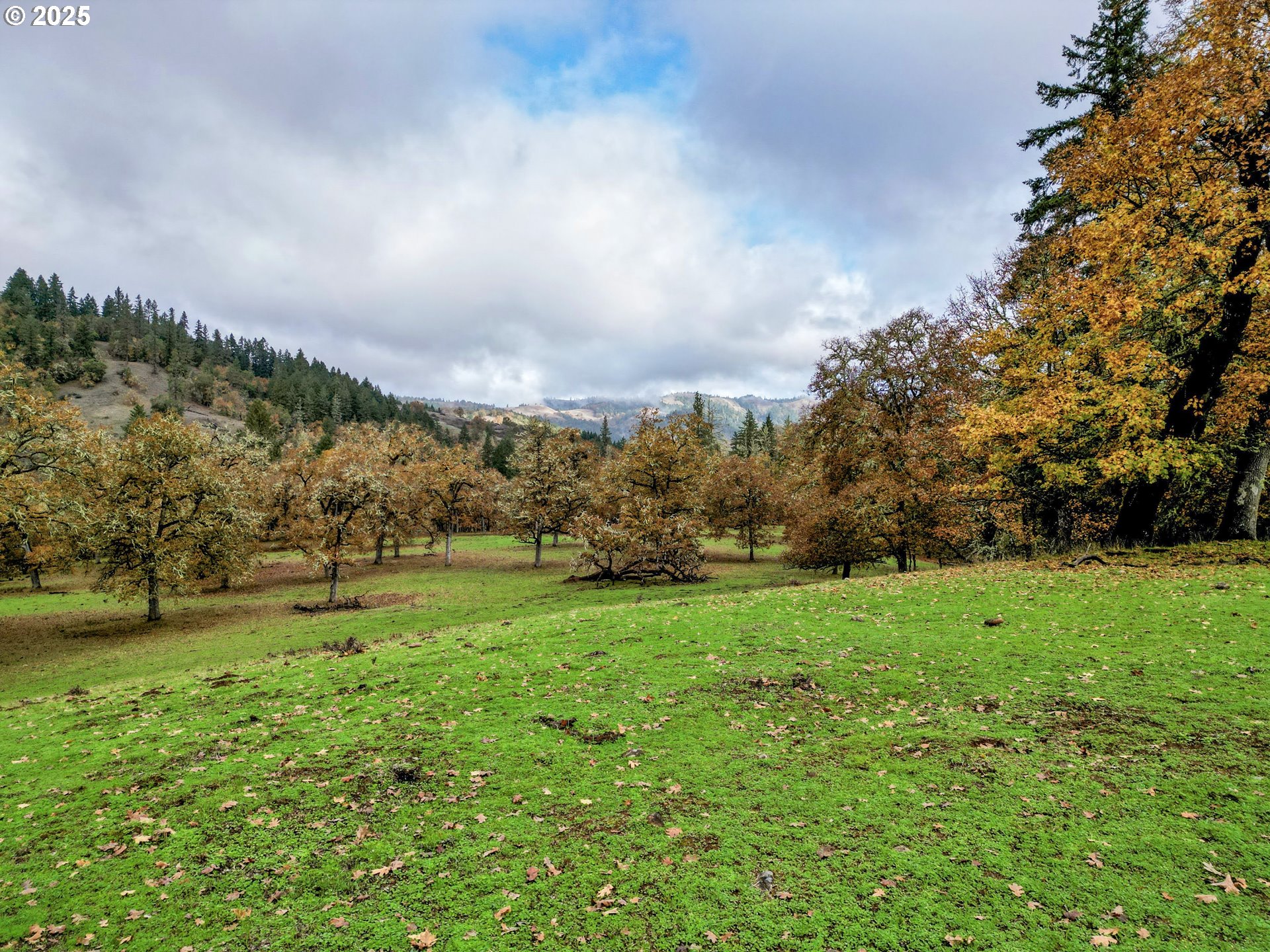 1104 Rio Nes Lane Roseburg, OR 97470 - Photo 12 of 47