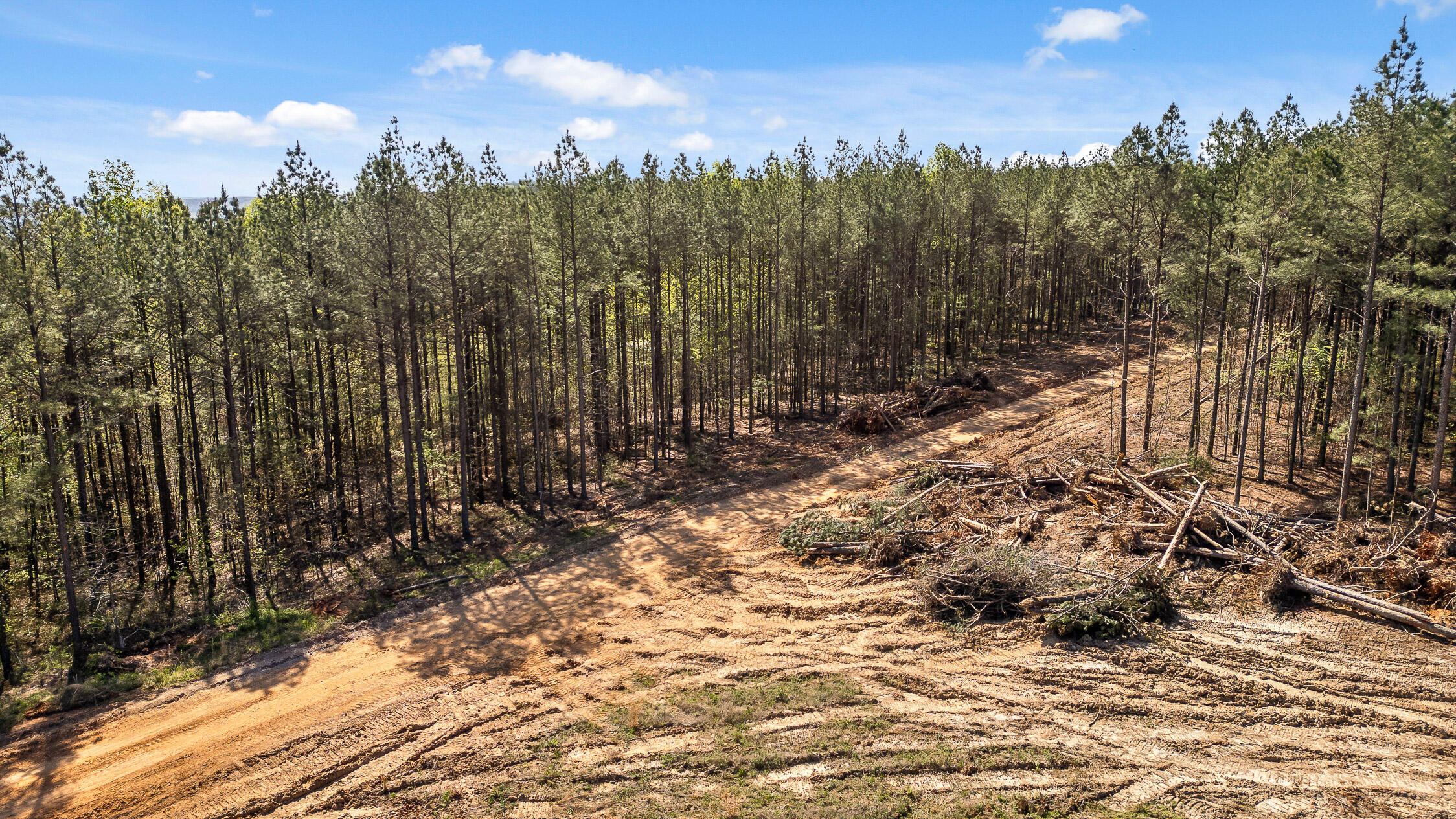 0 High Ground Road Guild, TN 37340 - Photo 13 of 24 35-Rgr2233-34