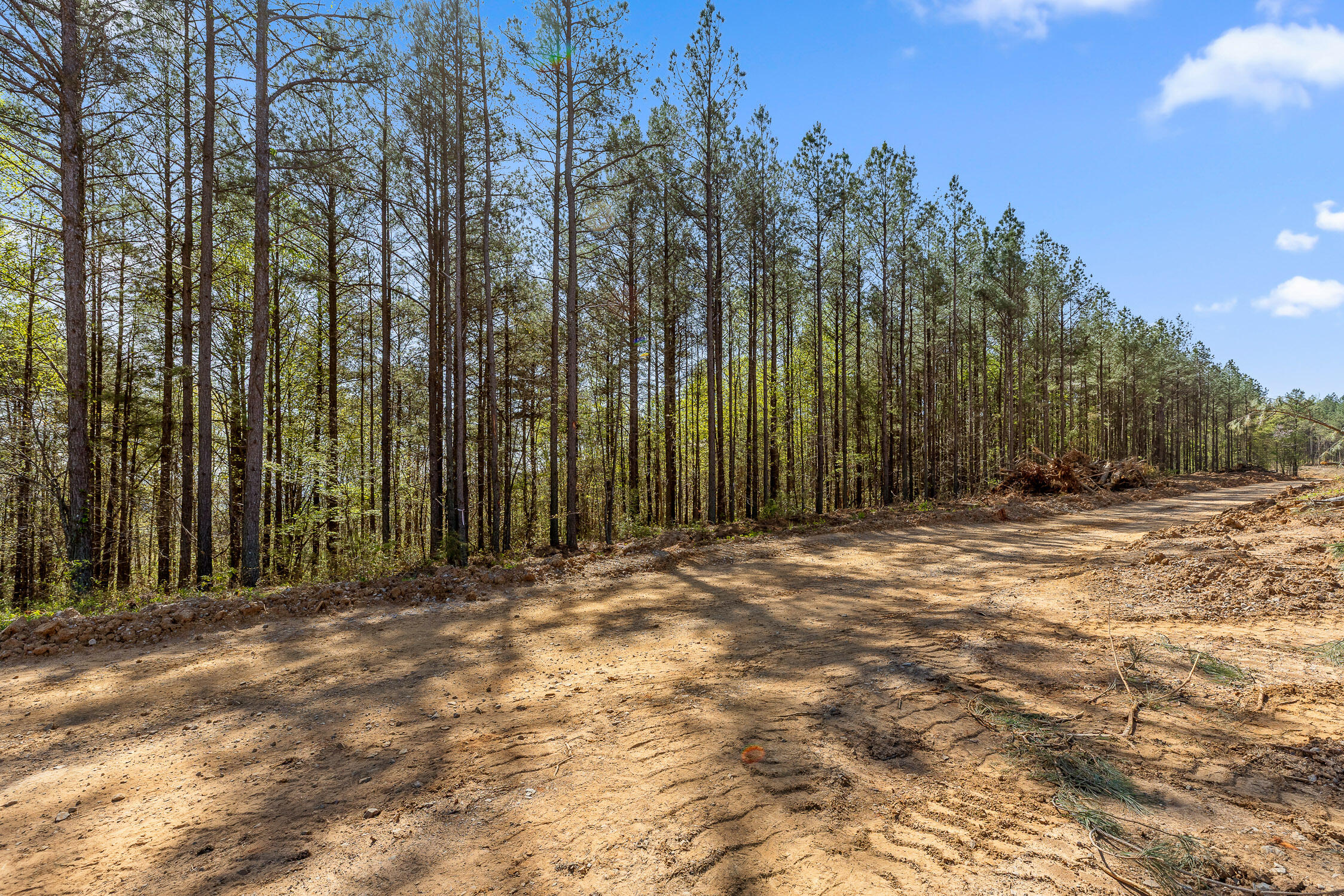 0 High Ground Road Guild, TN 37340 - Photo 14 of 24 02-Rgr2233-1