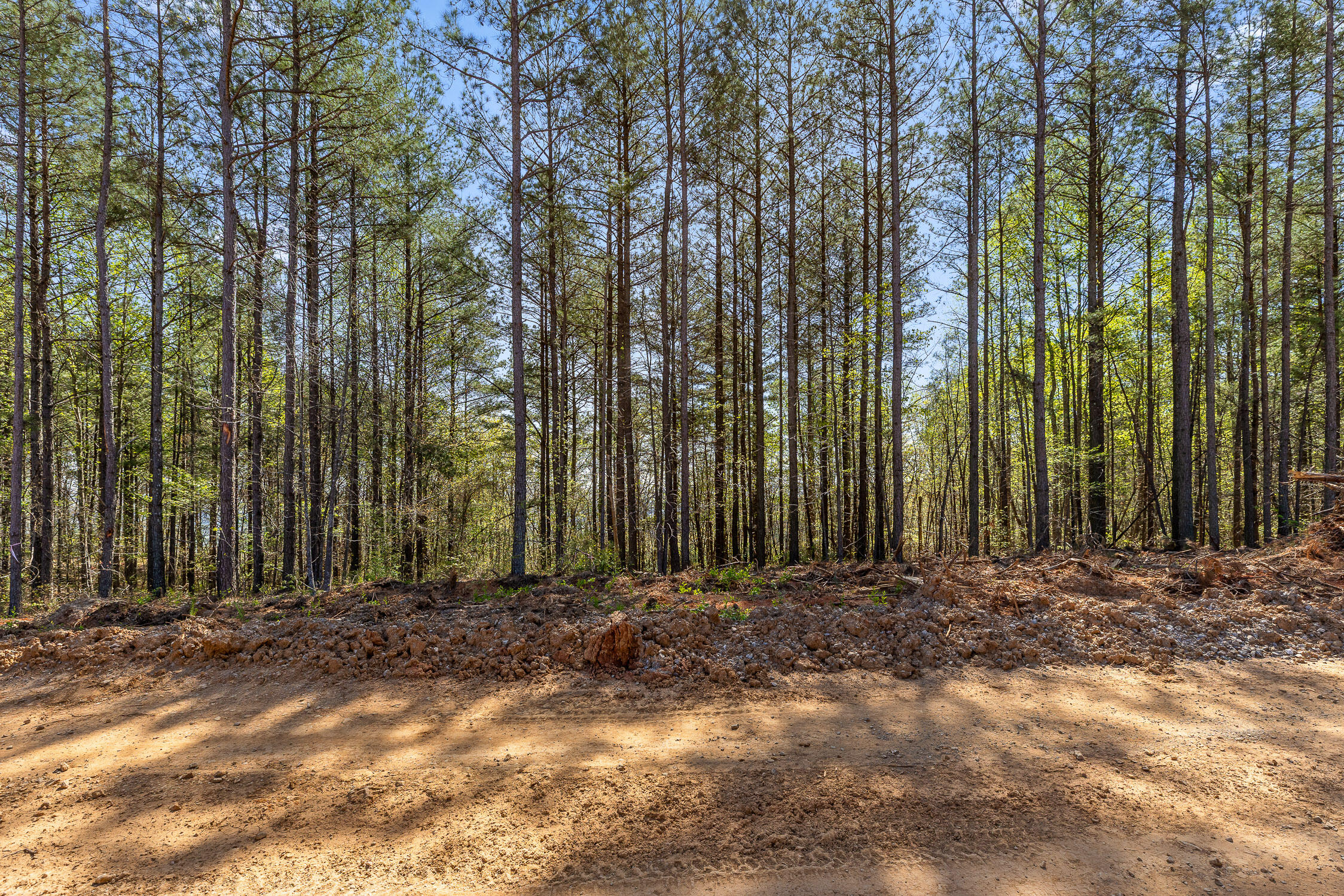 0 High Ground Road Guild, TN 37340 - Photo 2 of 24 03-Rgr2233-2