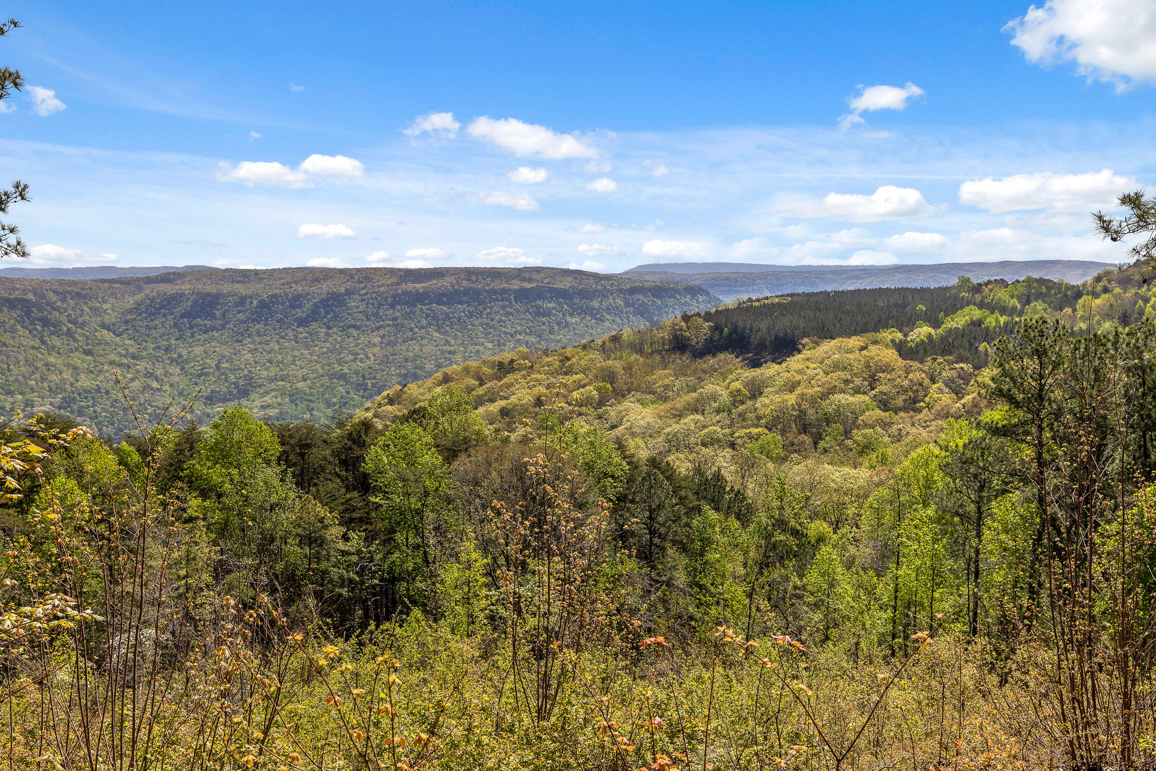 0 High Ground Road Guild, TN 37340 - Photo 6 of 24 07-Rgr2233-6