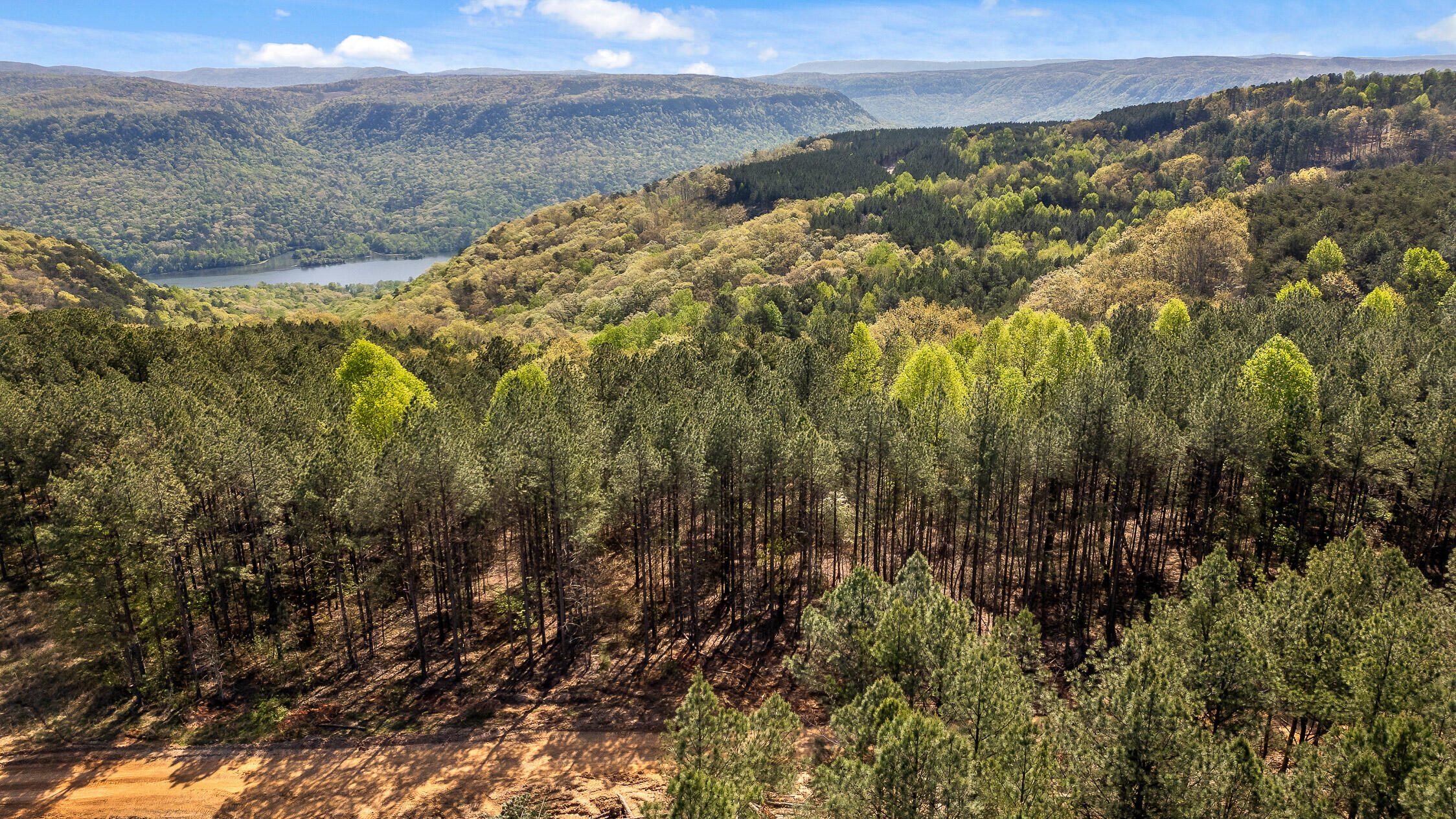 0 High Ground Road Guild, TN 37340 - Photo 8 of 24 09-Rgr2233-8