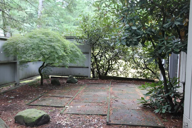 a view of a bench in a backyard of a house