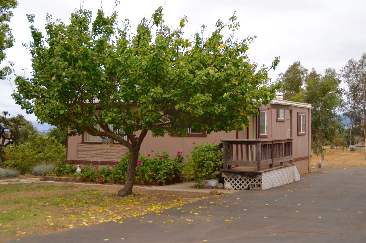 2890 Roop Road Gilroy, CA 95020 - Photo 6 of 22 a view of a house with backyard and a tree