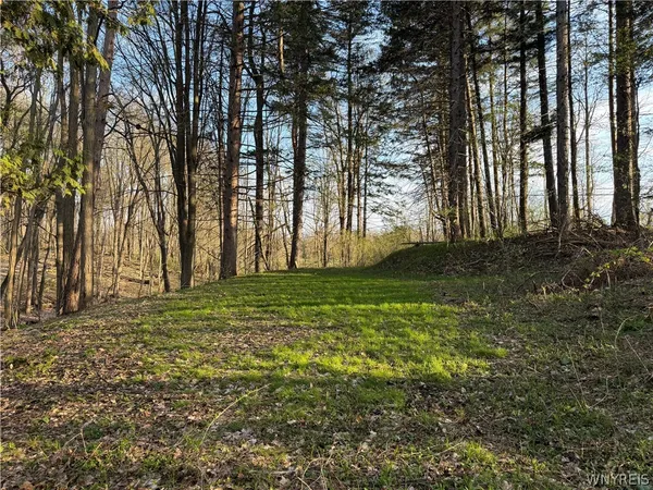 $60,000 | 0 Pit Road, Java Center, NY 14082