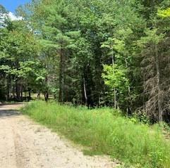 Lot B Lot B Off Passbrook Road Durham, ME 04222 - Photo 3 of 4 3