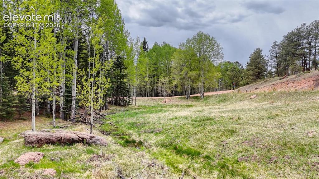 42 Rabbit Circle Florissant, CO 80816 - Photo 3 of 20 a backyard of a house with lots of green space