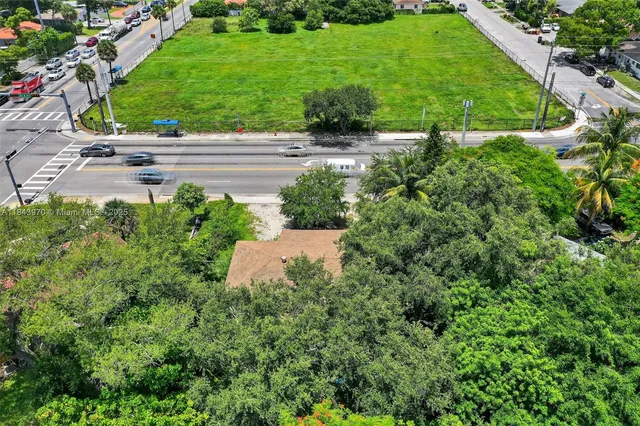a view of a garden with a yard