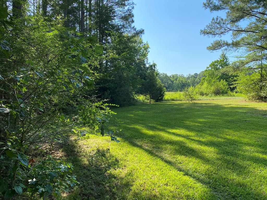 6088 Sylvarena Road Wesson, MS 39191 - Photo 32 of 33 Front yard